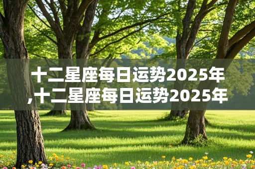 十二星座每日运势2025年,十二星座每日运势2025年运程