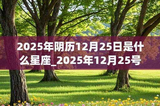 2025年阴历12月25日是什么星座_2025年12月25号农历是什么?