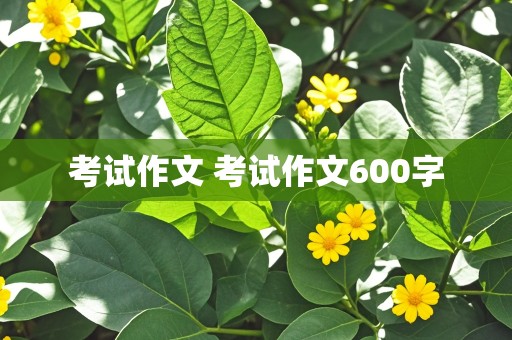 考试作文 考试作文600字