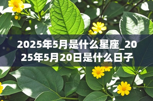 2025年5月是什么星座_2025年5月20日是什么日子