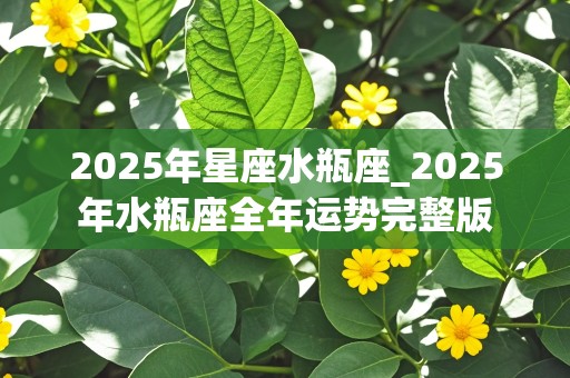 2025年星座水瓶座_2025年水瓶座全年运势完整版