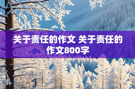 关于责任的作文 关于责任的作文800字