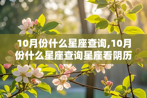 10月份什么星座查询,10月份什么星座查询星座看阴历阳历