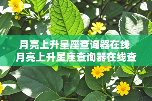 月亮上升星座查询器在线 月亮上升星座查询器在线查询