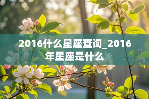 2016什么星座查询_2016年星座是什么