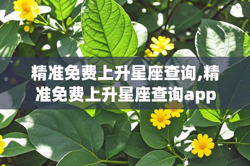 精准免费上升星座查询,精准免费上升星座查询app