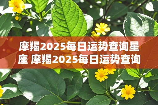 摩羯2025每日运势查询星座 摩羯2025每日运势查询星座分析