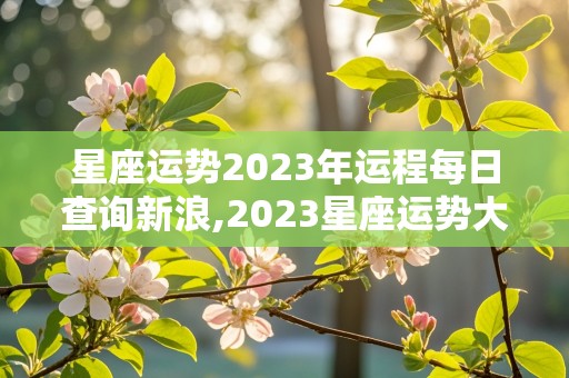 星座运势2023年运程每日查询新浪,2023星座运势大解析