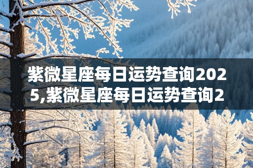 紫微星座每日运势查询2025,紫微星座每日运势查询2025年