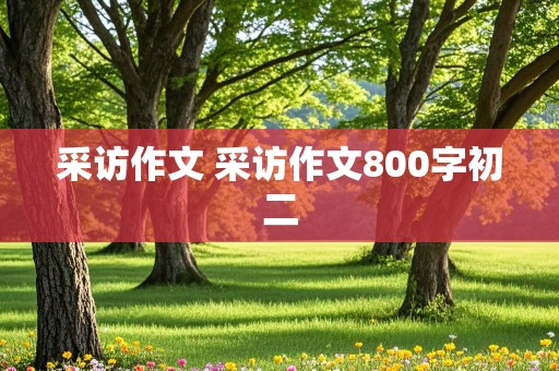 采访作文 采访作文800字初二