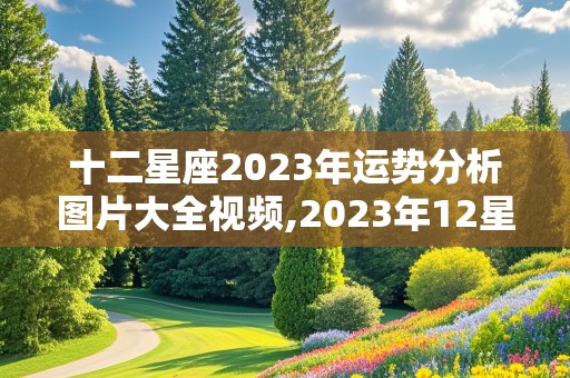 十二星座2023年运势分析图片大全视频,2023年12星座运势