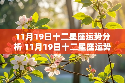 11月19日十二星座运势分析 11月19日十二星座运势分析