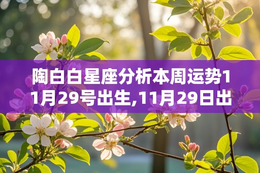 陶白白星座分析本周运势11月29号出生,11月29日出生的星座是什么