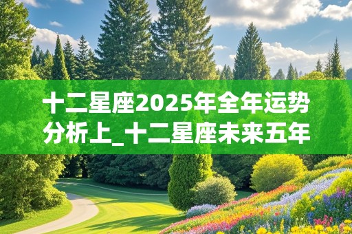 十二星座2025年全年运势分析上_十二星座未来五年运势