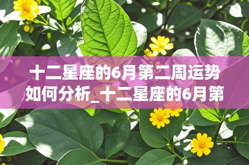 十二星座的6月第二周运势如何分析_十二星座的6月第二周运势如何分析出来