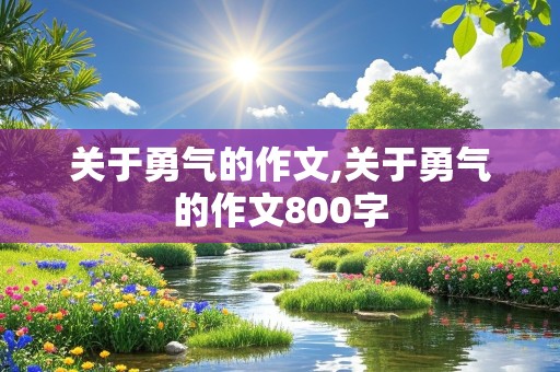 关于勇气的作文,关于勇气的作文800字