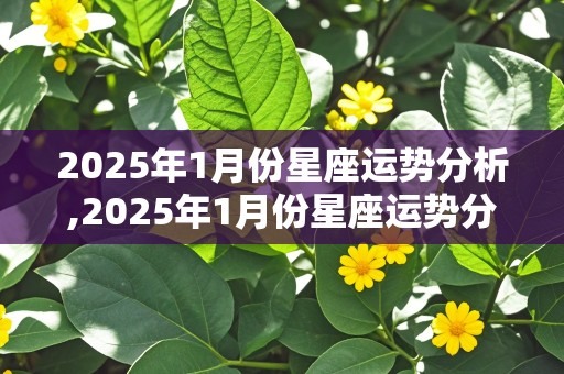 2025年1月份星座运势分析,2025年1月份星座运势分析图