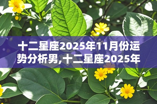 十二星座2025年11月份运势分析男,十二星座2025年11月份运势分析男生