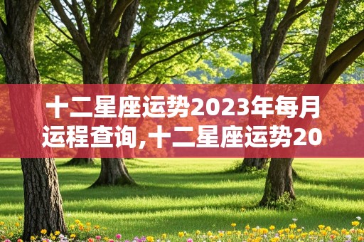 十二星座运势2023年每月运程查询,十二星座运势2023年每月运程查询表