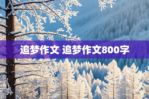 追梦作文 追梦作文800字