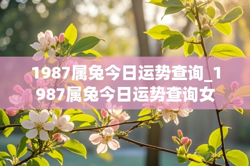 1987属兔今日运势查询_1987属兔今日运势查询女