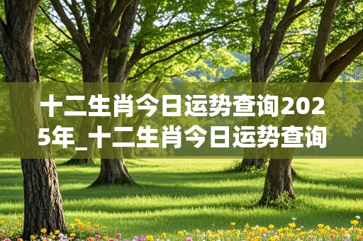 十二生肖今日运势查询2025年_十二生肖今日运势查询2025年1月1日