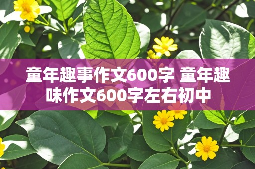 童年趣事作文600字 童年趣味作文600字左右初中