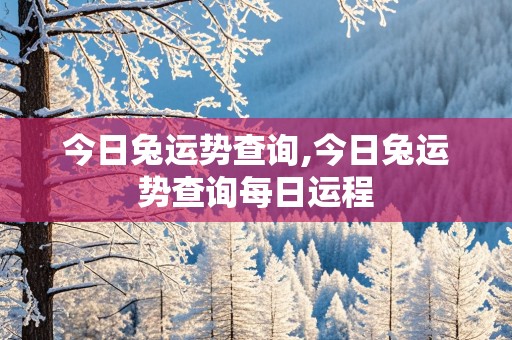 今日兔运势查询,今日兔运势查询每日运程