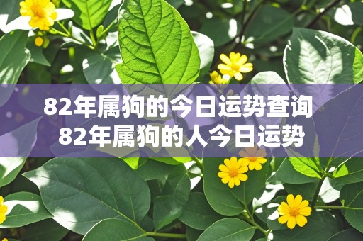 82年属狗的今日运势查询 82年属狗的人今日运势