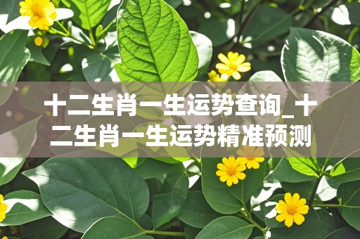 十二生肖一生运势查询_十二生肖一生运势精准预测