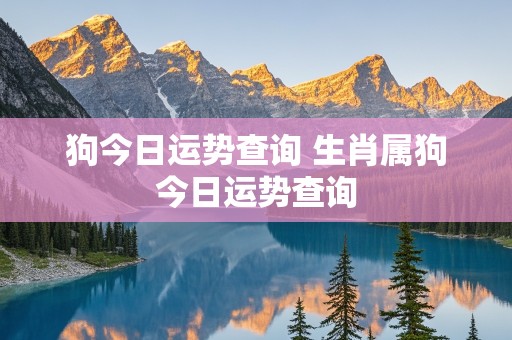 狗今日运势查询 生肖属狗今日运势查询