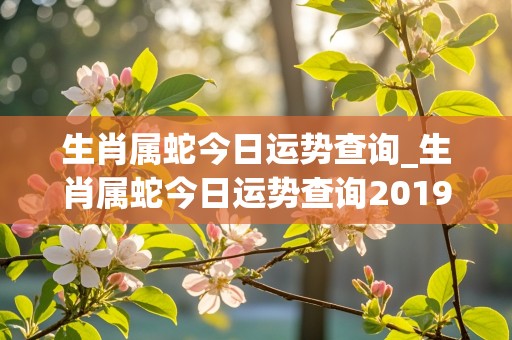 生肖属蛇今日运势查询_生肖属蛇今日运势查询2019年