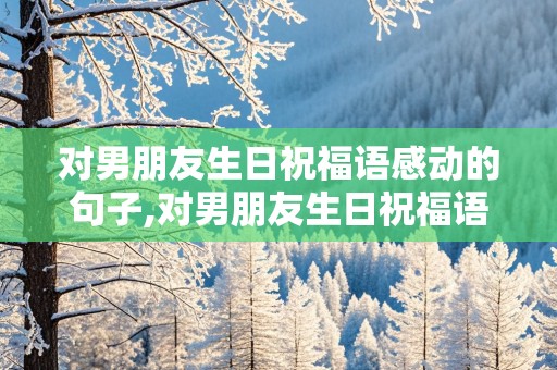 对男朋友生日祝福语感动的句子,对男朋友生日祝福语感动的句子暖心