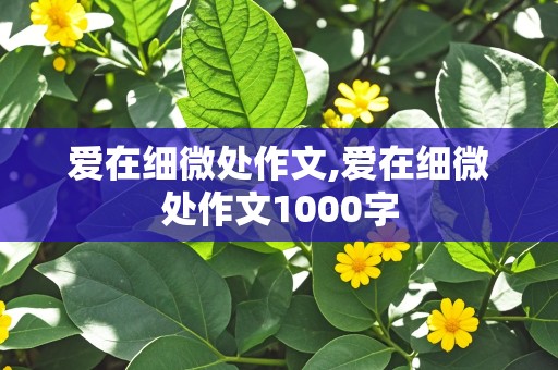 爱在细微处作文,爱在细微处作文1000字