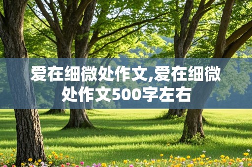 爱在细微处作文,爱在细微处作文500字左右