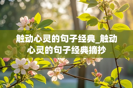 触动心灵的句子经典_触动心灵的句子经典摘抄