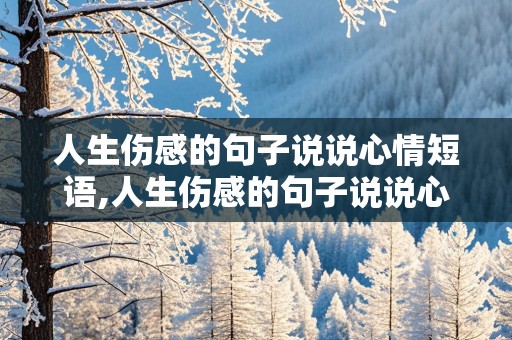 人生伤感的句子说说心情短语,人生伤感的句子说说心情短语图片