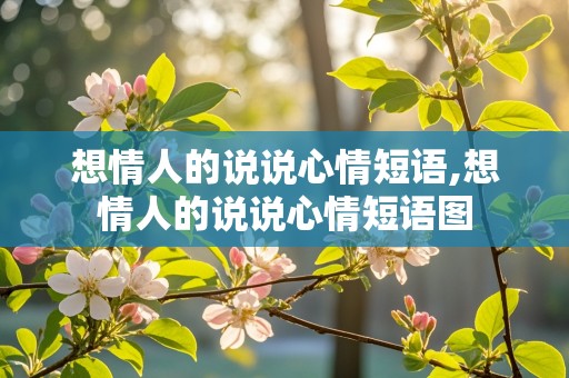 想情人的说说心情短语,想情人的说说心情短语图