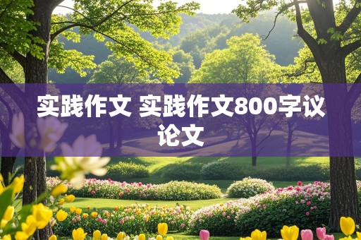 实践作文 实践作文800字议论文