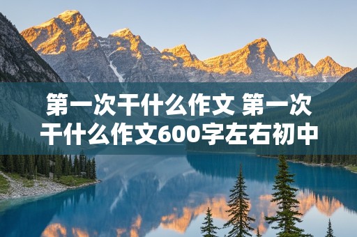 第一次干什么作文 第一次干什么作文600字左右初中