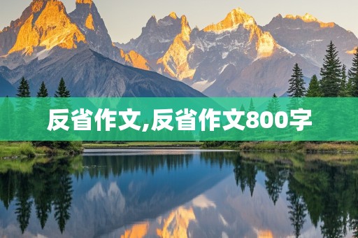 反省作文,反省作文800字