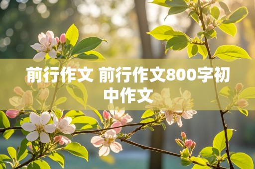 前行作文 前行作文800字初中作文