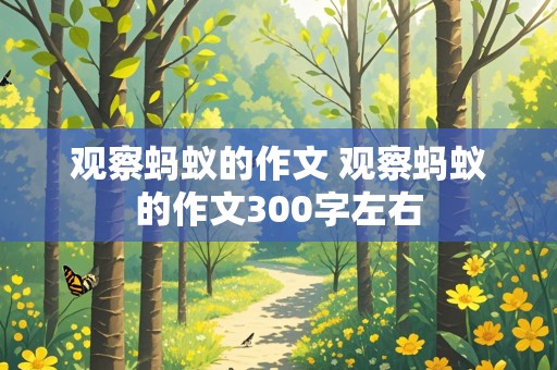 观察蚂蚁的作文 观察蚂蚁的作文300字左右