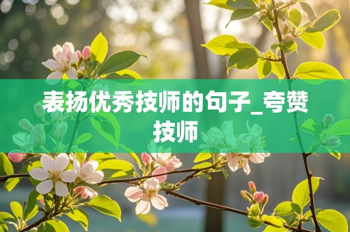 表扬优秀技师的句子_夸赞技师