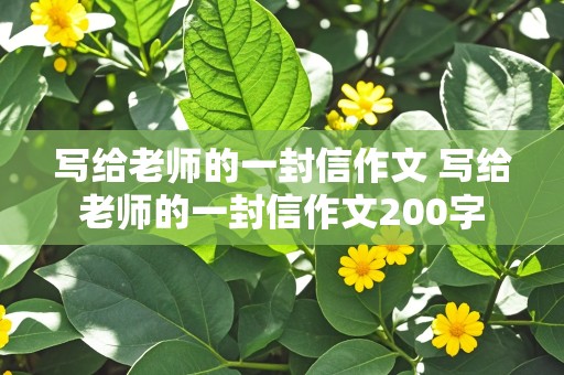 写给老师的一封信作文 写给老师的一封信作文200字