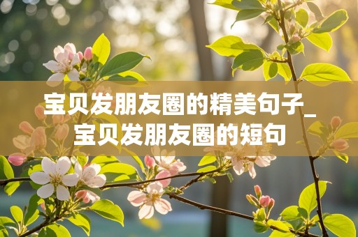 宝贝发朋友圈的精美句子_宝贝发朋友圈的短句