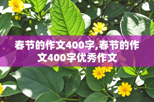 春节的作文400字,春节的作文400字优秀作文