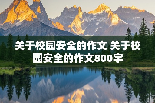 关于校园安全的作文 关于校园安全的作文800字