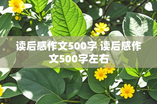 读后感作文500字 读后感作文500字左右