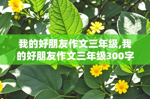 我的好朋友作文三年级,我的好朋友作文三年级300字左右